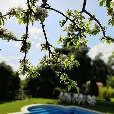 Quinta Da Mainha - Charming Houses - Escape To Nature Braga Exterior photo
