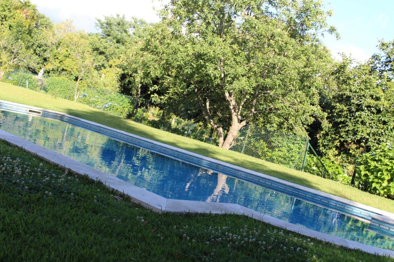 Quinta Da Mainha - Charming - Escape To Nature Hébergement de vacances