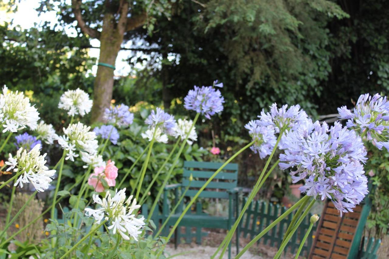 Quinta Da Mainha - Charming - Escape To Nature Hébergement de vacances