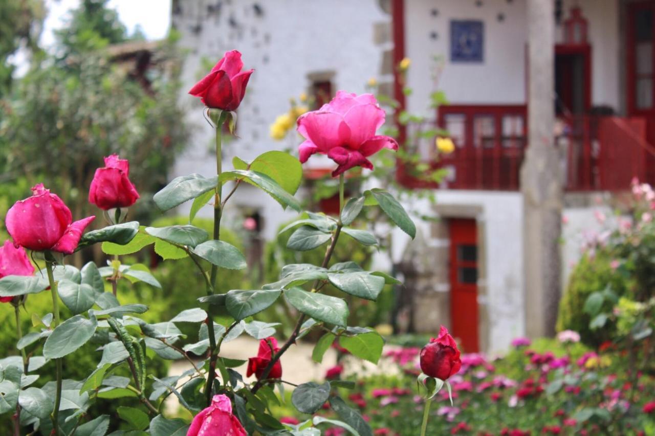 Quinta Da Mainha - Charming - Escape To Nature
