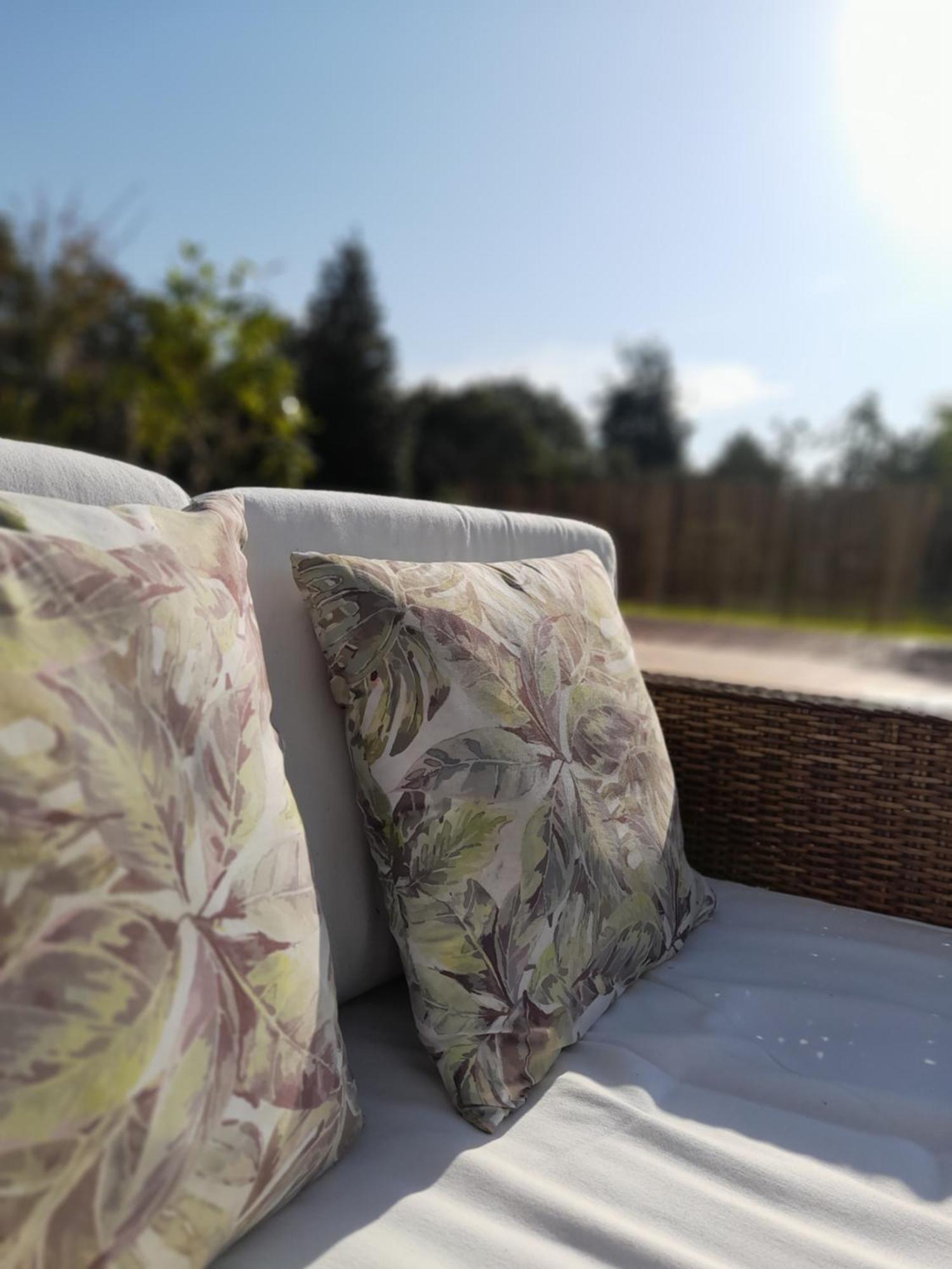 Quinta Da Mainha - Charming - Escape To Nature * Braga