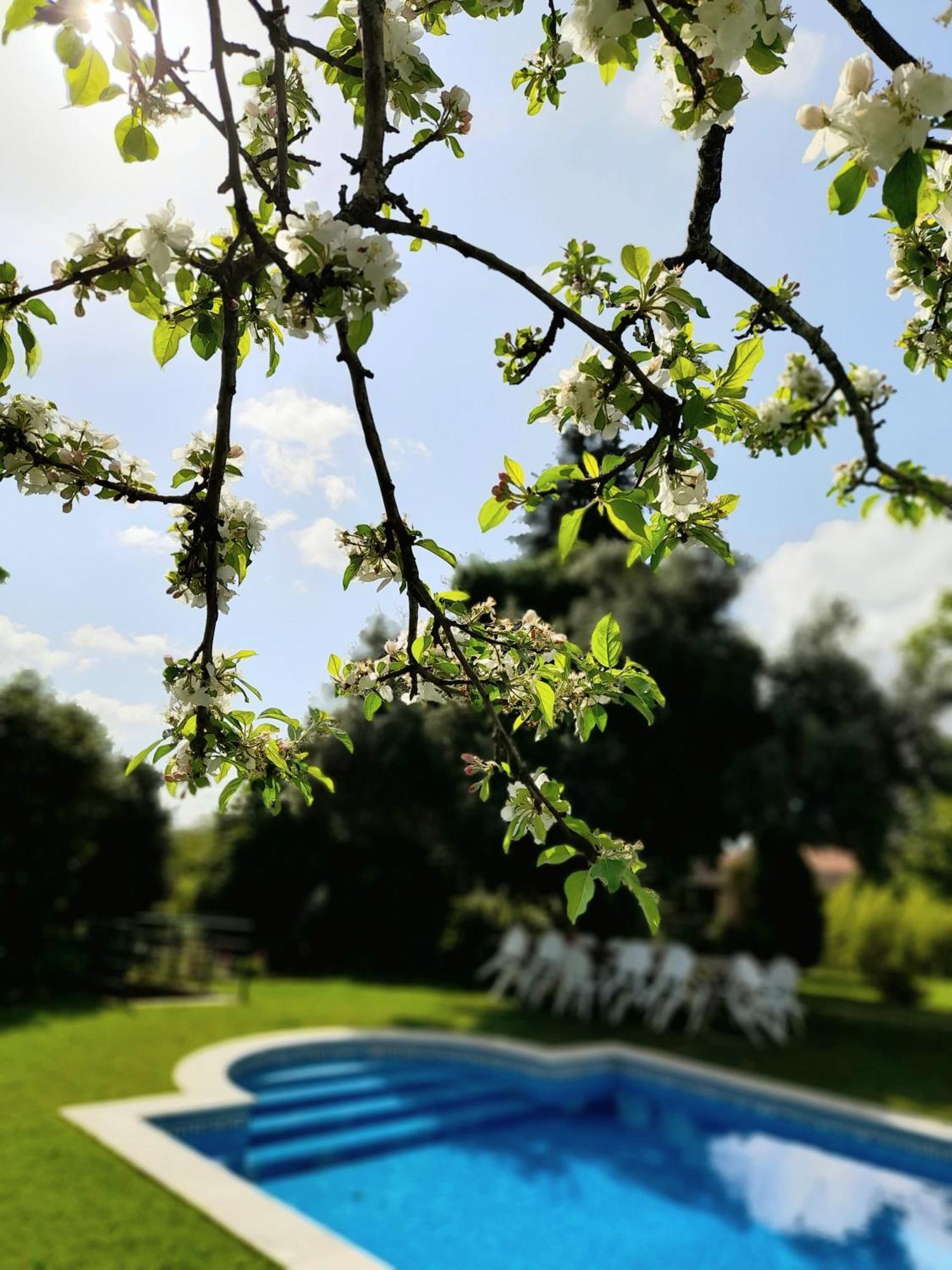 Hébergement de vacances Quinta Da Mainha - Charming - Escape To Nature Braga