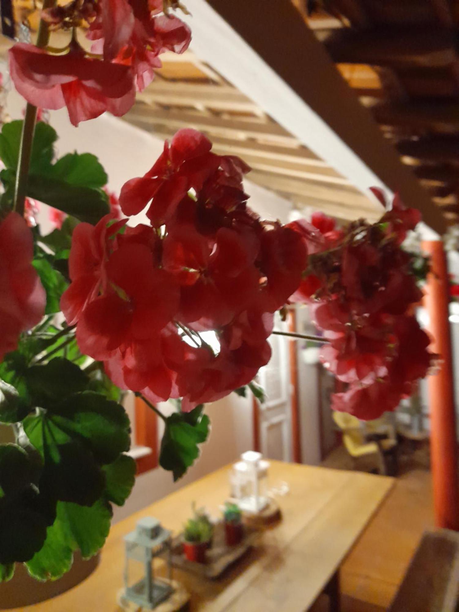 Quinta Da Mainha - Charming - Escape To Nature Braga