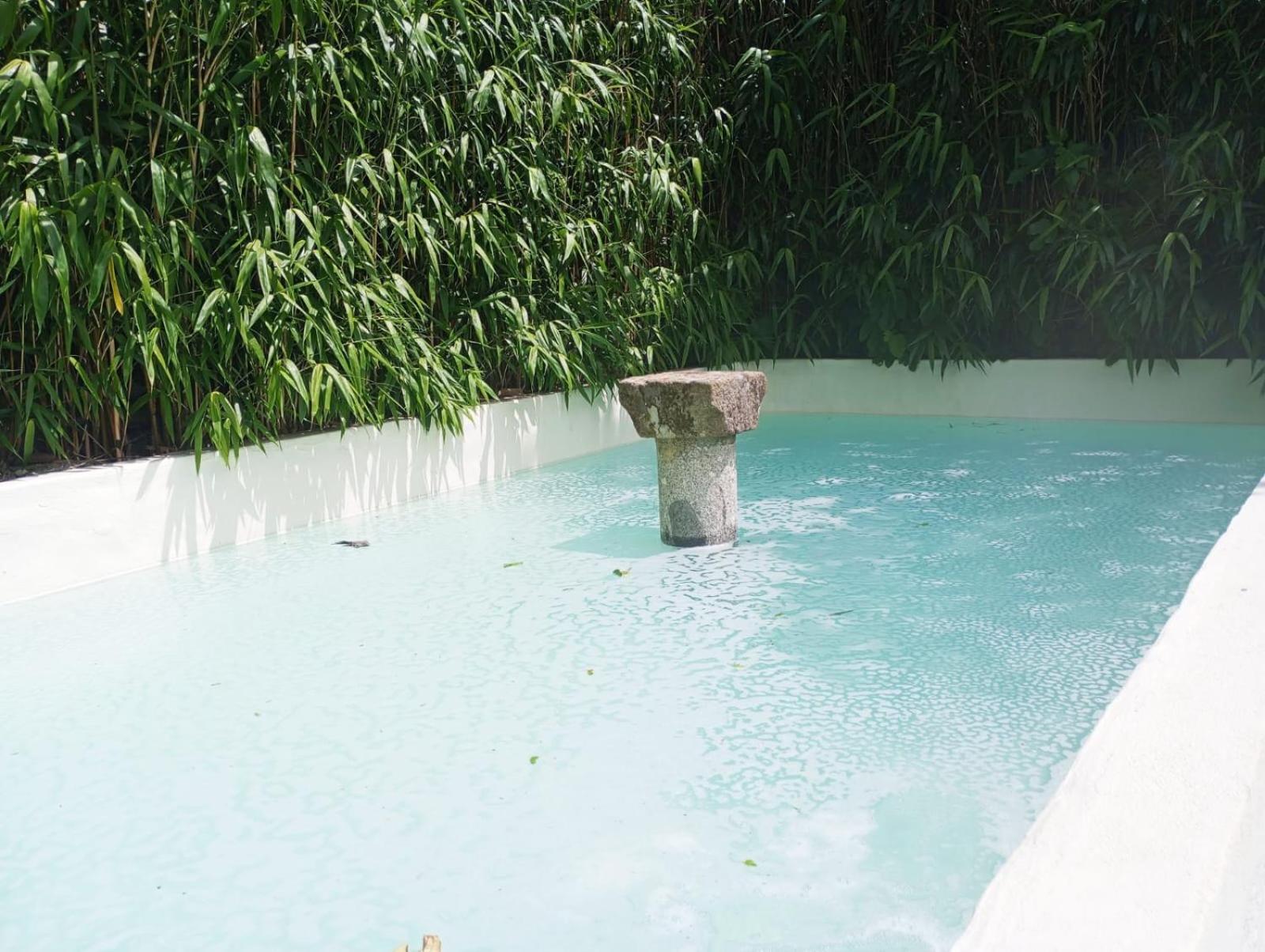 Quinta Da Mainha - Charming - Escape To Nature Hébergement de vacances *