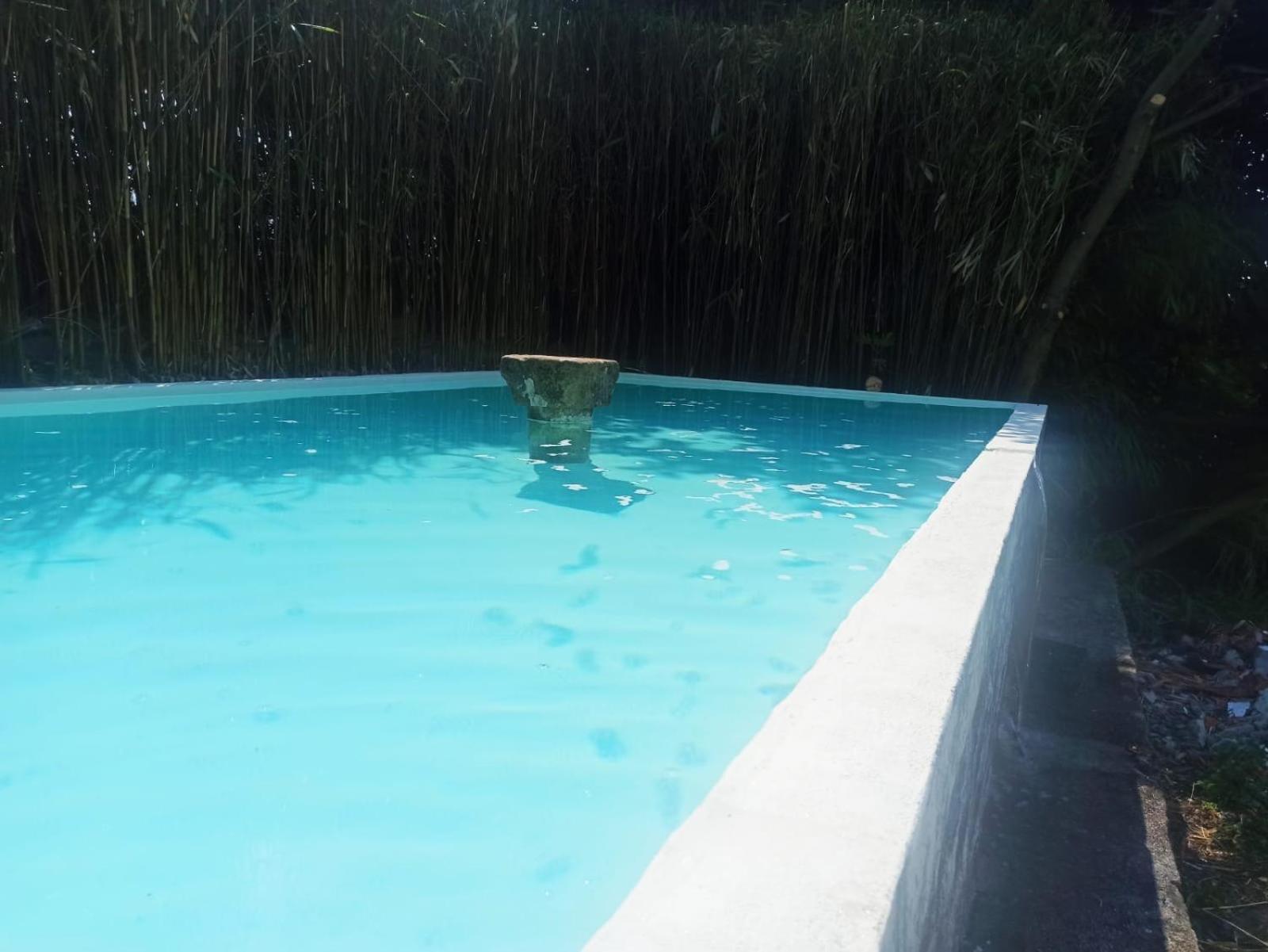Hébergement de vacances Quinta Da Mainha - Charming - Escape To Nature *
