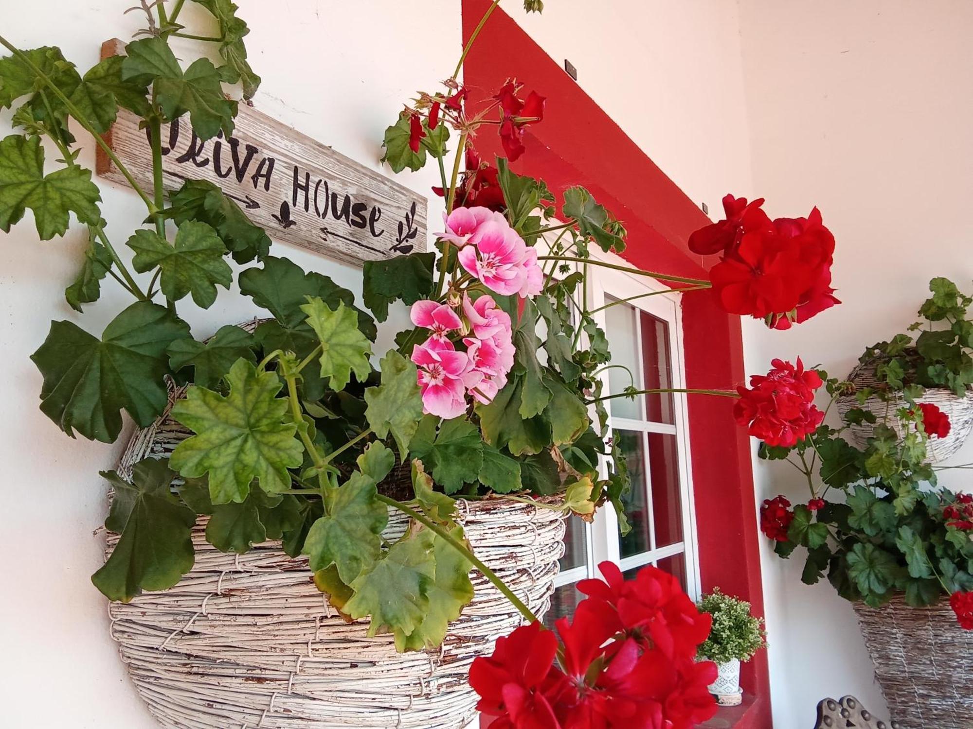 Quinta Da Mainha - Charming - Escape To Nature * Braga